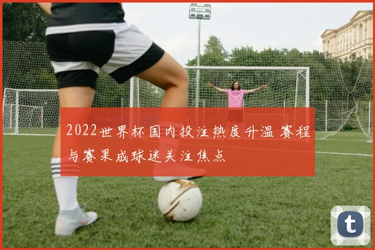 2022世界杯国内投注热度升温 赛程与赛果成球迷关注焦点