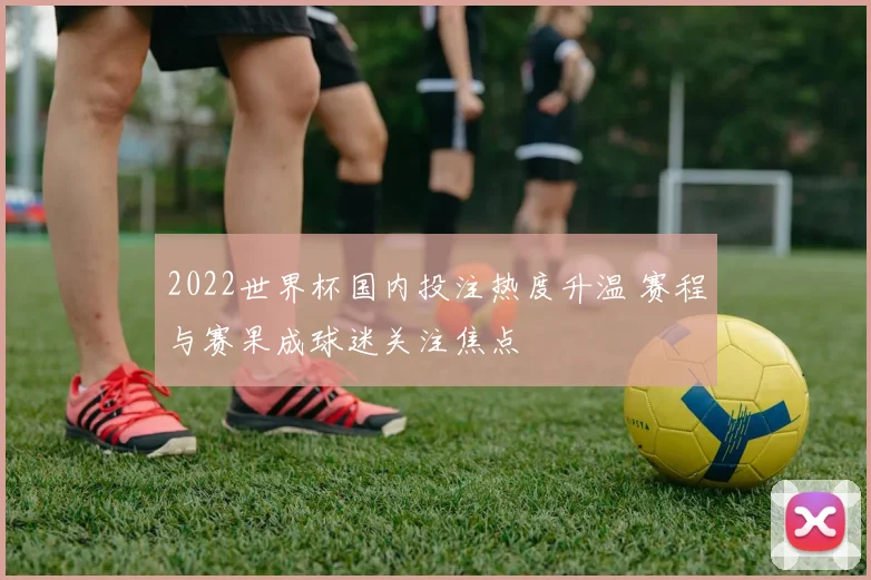 2022世界杯国内投注热度升温 赛程与赛果成球迷关注焦点